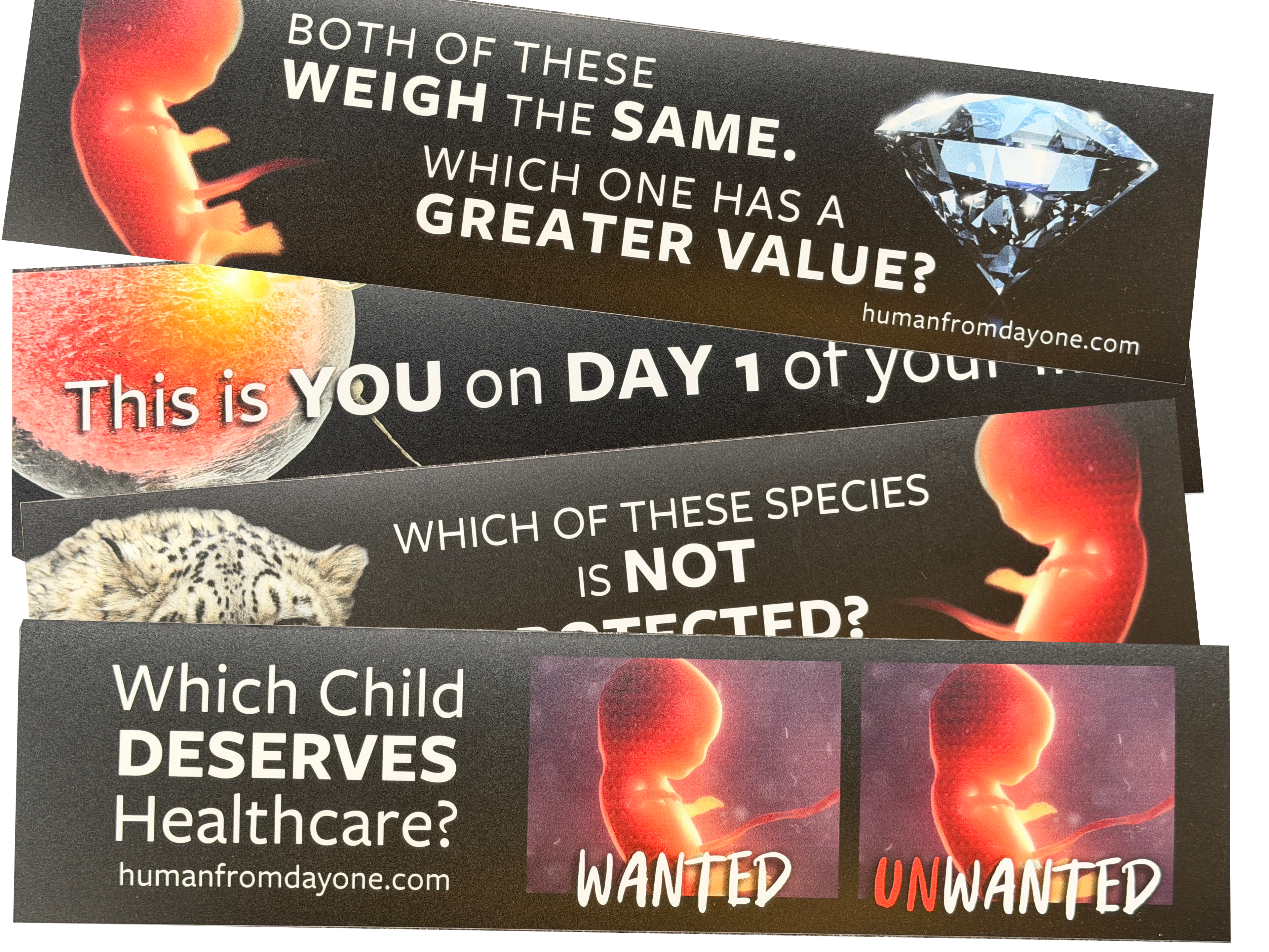 Set of anti-abortion posters with images of embryos and text.