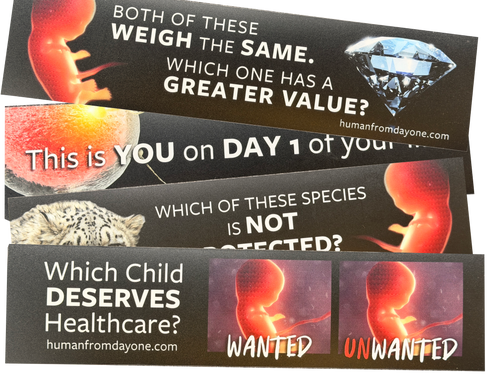 Set of anti-abortion posters with images of embryos and text.