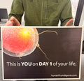 Poster with a close-up of a fertilized egg and text on a gray surface.