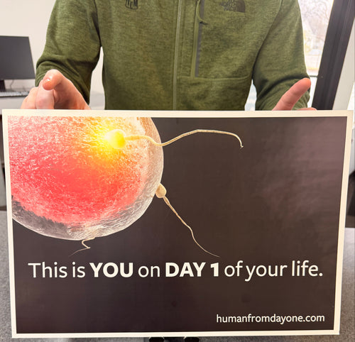 Poster with a close-up of a fertilized egg and text on a gray surface.