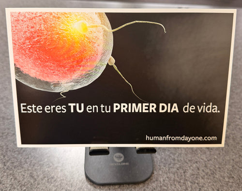 Poster with a fetus illustration and text on a wall in an indoor setting